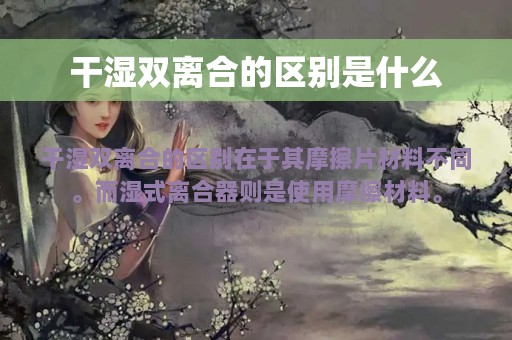 干湿双离合的区别是什么