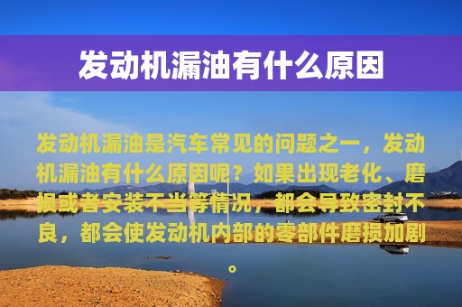 发动机漏油有什么原因