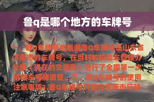 鲁q是哪个地方的车牌号