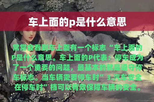 车上面的p是什么意思