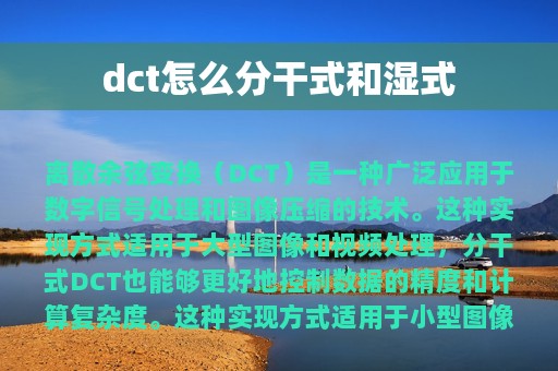 dct怎么分干式和湿式