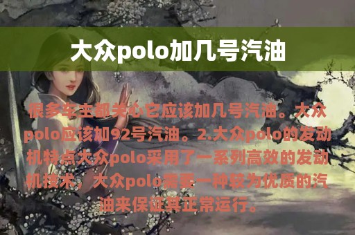 大众polo加几号汽油