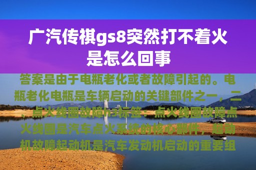 广汽传祺gs8突然打不着火是怎么回事