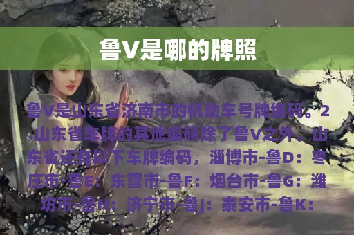 鲁V是哪的牌照