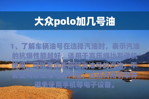 大众polo加几号油