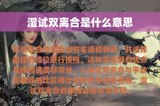 湿试双离合是什么意思