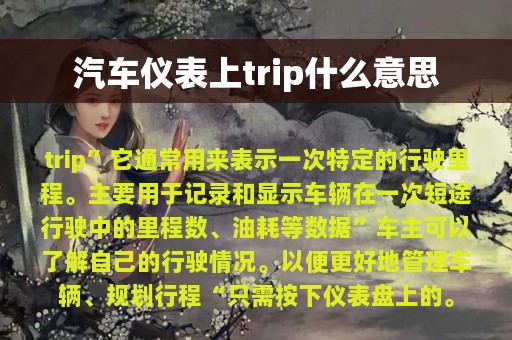 汽车仪表上trip什么意思