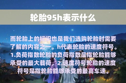 轮胎95h表示什么