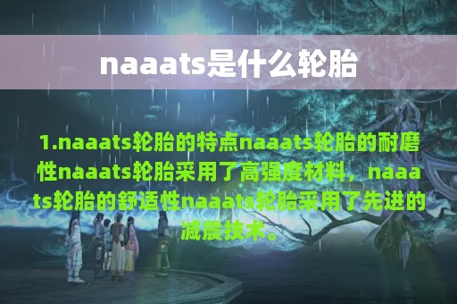 naaats是什么轮胎