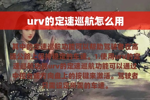 urv的定速巡航怎么用