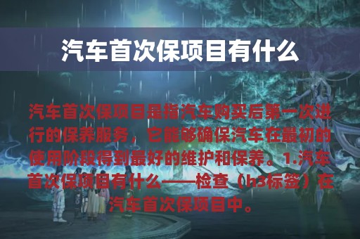 汽车首次保项目有什么