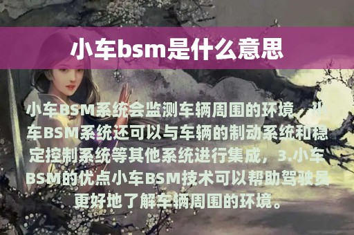 小车bsm是什么意思