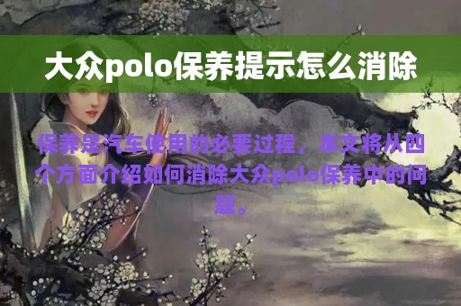 大众polo保养提示怎么消除