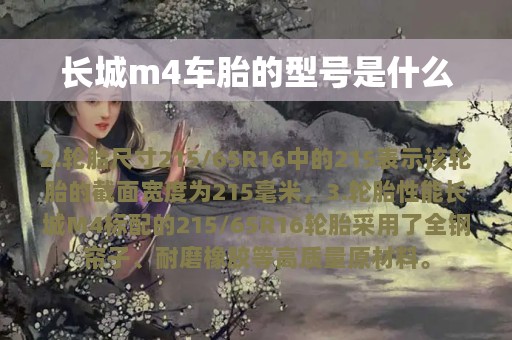 长城m4车胎的型号是什么