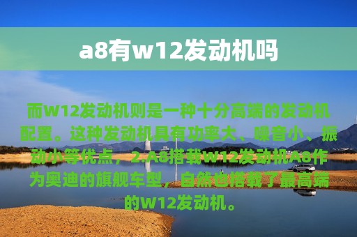 a8有w12发动机吗