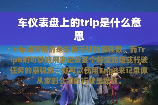 车仪表盘上的trip是什么意思