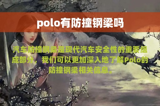 polo有防撞钢梁吗