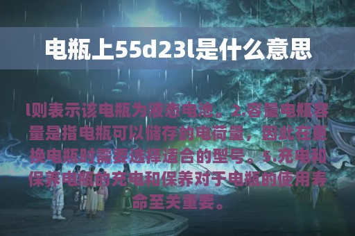 电瓶上55d23l是什么意思