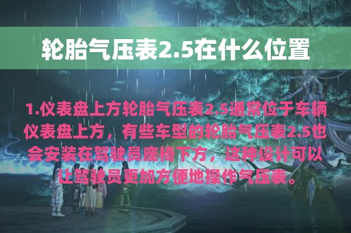 轮胎气压表2.5在什么位置