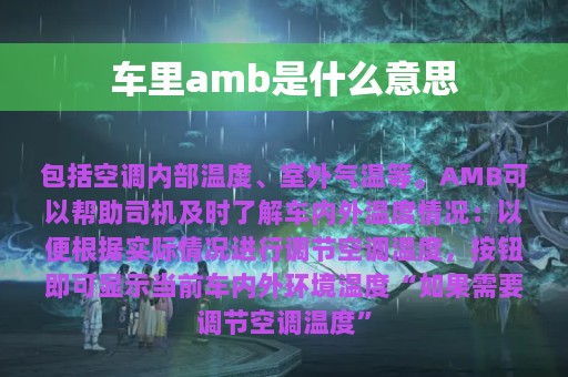 车里amb是什么意思