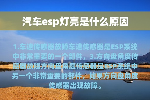 汽车esp灯亮是什么原因