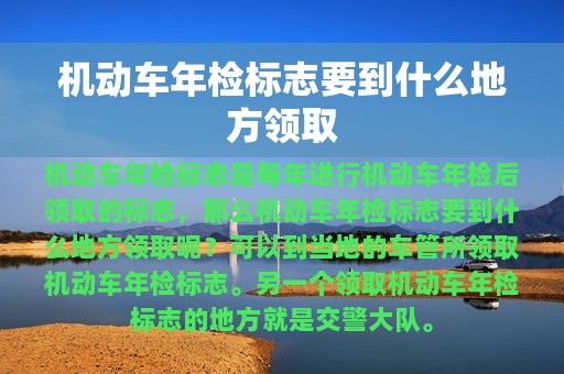 机动车年检标志要到什么地方领取