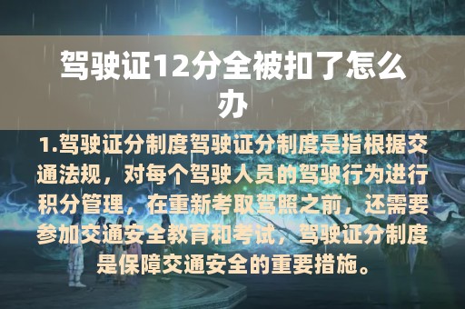 驾驶证12分全被扣了怎么办