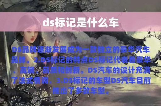 ds标记是什么车