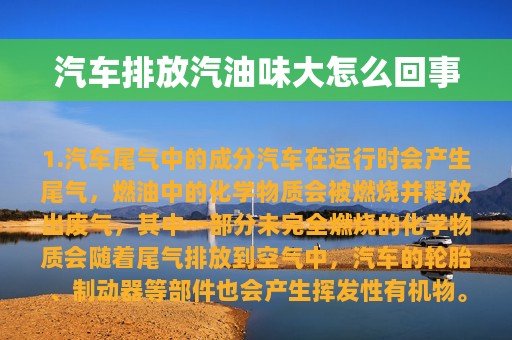 汽车排放汽油味大怎么回事