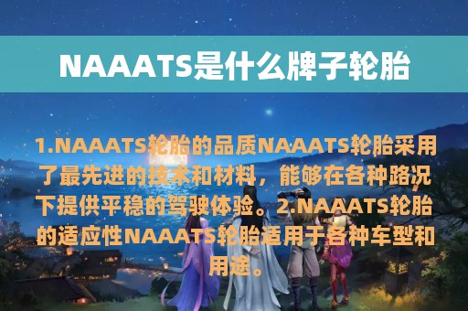 NAAATS是什么牌子轮胎