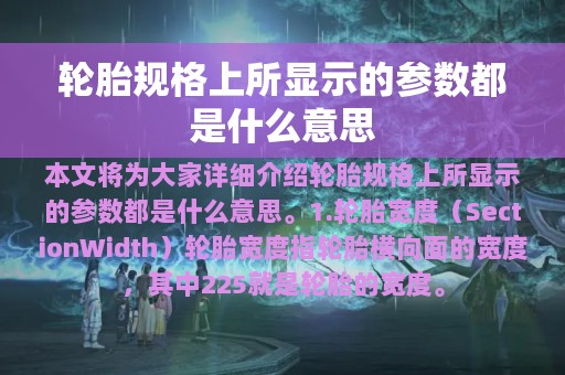 轮胎规格上所显示的参数都是什么意思