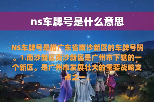 ns车牌号是什么意思