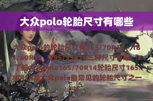 大众polo轮胎尺寸有哪些