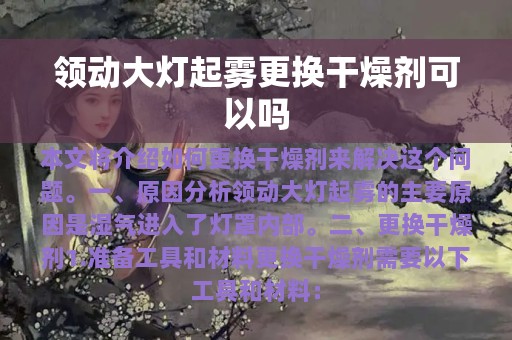 领动大灯起雾更换干燥剂可以吗