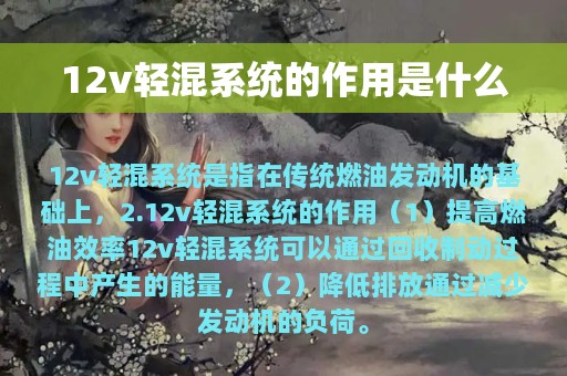 12v轻混系统的作用是什么