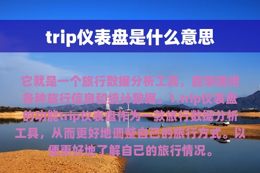 trip仪表盘是什么意思