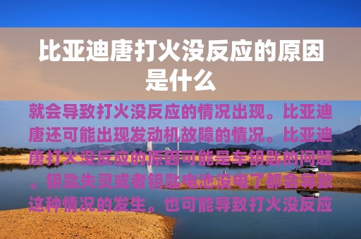 比亚迪唐打火没反应的原因是什么