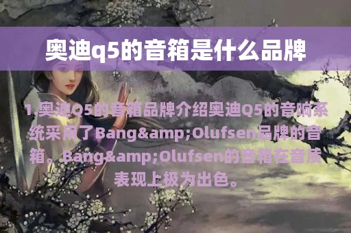 奥迪q5的音箱是什么品牌