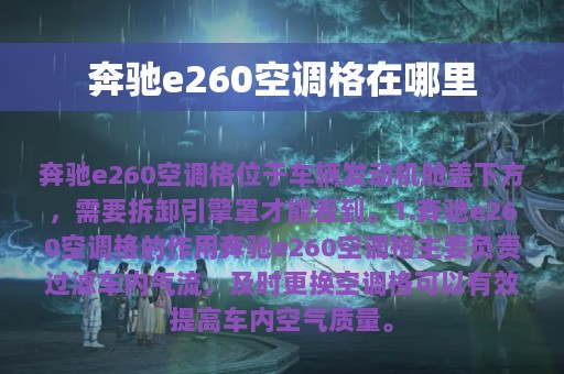 奔驰e260空调格在哪里