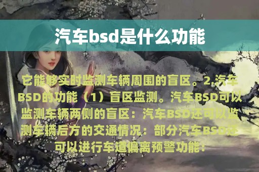 汽车bsd是什么功能