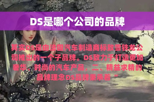 DS是哪个公司的品牌