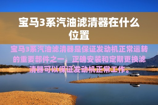 宝马3系汽油滤清器在什么位置