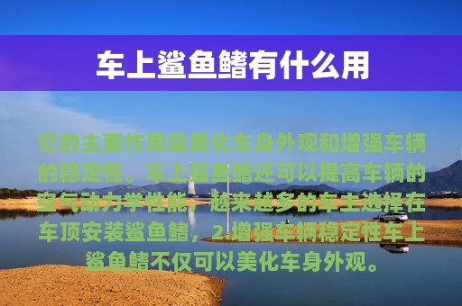 车上鲨鱼鳍有什么用