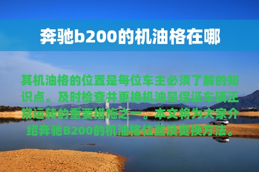 奔驰b200的机油格在哪