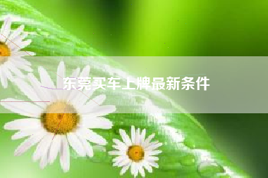 东莞买车上牌最新条件