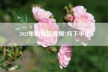 2022年购置税新规7月下半年