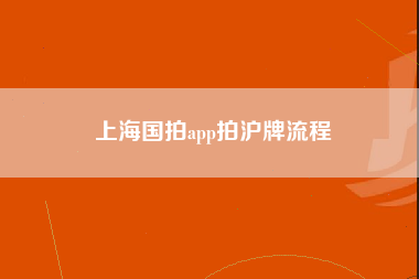 上海国拍app拍沪牌流程