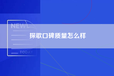 探歌口碑质量怎么样