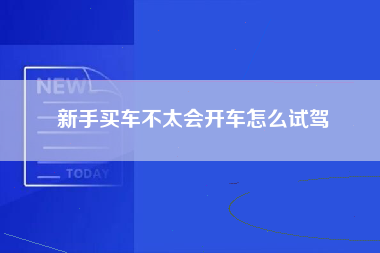 新手买车不太会开车怎么试驾