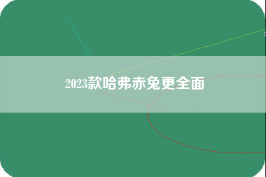 2023款哈弗赤兔更全面